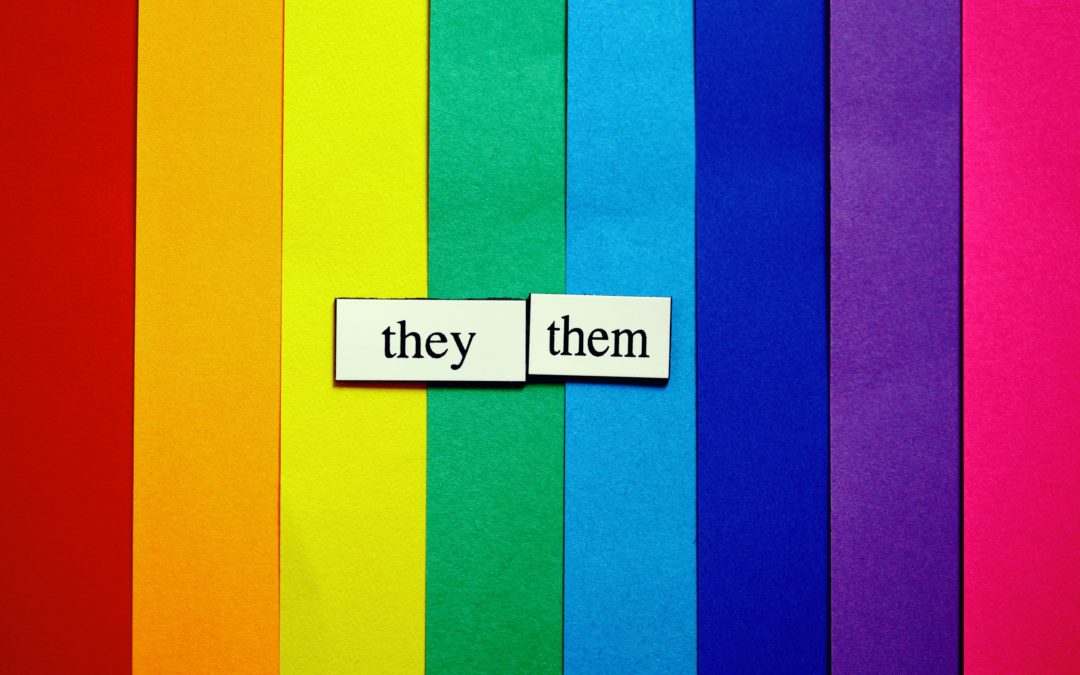 Rainbow flag with the words "them" and "they" in front